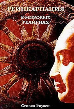 Стивен Роузен Реинкарнация в мировых религиях обложка книги