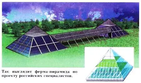 На самом нижнем ярусе располагаются пруды для разведения ценных пород рыб - фото 10