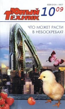 Журнал «Юный техник» Юный техник, 2009 № 10 обложка книги