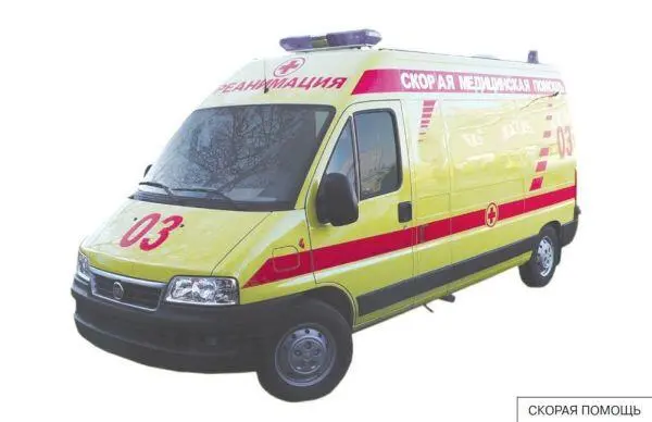Бригады скорой помощи передвигались на каретах запряженных лошадьми В - фото 7