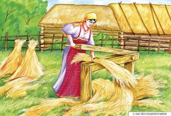 Затем лен мяли на легких горизонтальных мялках столярной работы бросальницах - фото 3