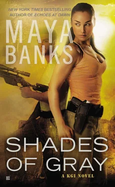 Maya Banks Shades of Gray обложка книги