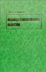 Зигмунт Бауман - Индивидуализированное общество