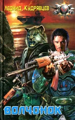Леонид Кудрявцев - Волчонок