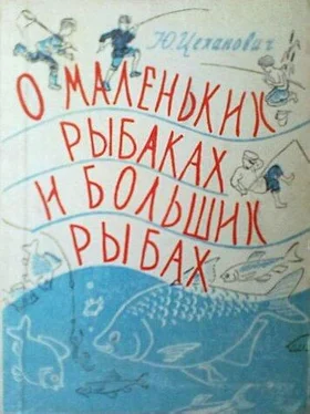 Юрий Цеханович О маленьких рыбаках и больших рыбах обложка книги