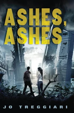 Jo Treggiari Ashes, Ashes обложка книги