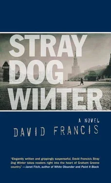 David Francis Stray Dog Winter обложка книги