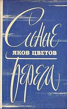 Яков Цветов Синие берега обложка книги