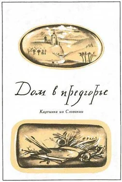 Божена Немцова Дом в предгорье обложка книги