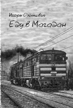 Игорь Олиневич Еду в Магадан обложка книги