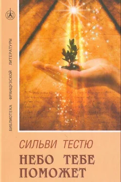 Сильви Тестю Небо тебе поможет обложка книги