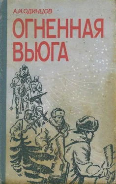 Александр Одинцов Огненная вьюга обложка книги