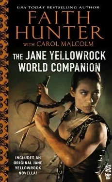 Faith Hunter Jane Yellowrock World Companion обложка книги