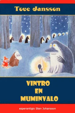 Tove Jansson Vintro en muminvalo обложка книги