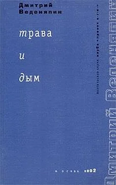 Дмитрий Веденяпин Трава и дым обложка книги