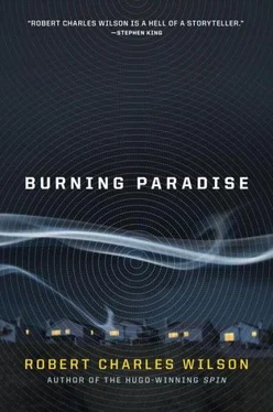 Robert Wilson Burning Paradise обложка книги