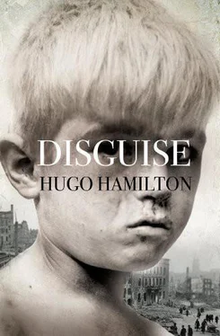 Hugo Hamilton Disguise обложка книги