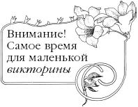Кто такой Томас Рифмач легендарный поэт Шотландии Легенды сохранили его - фото 115