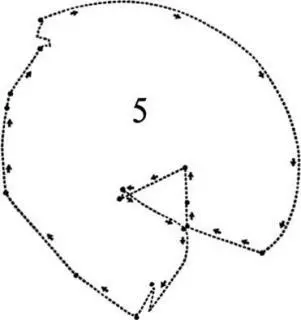 Tracing its origin to the glacial period during which our countrys outlines - фото 6
