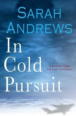 Sarah Andrews In Cold Pursuit обложка книги