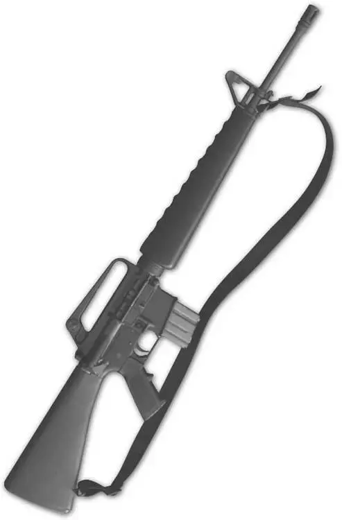 Reliability is a must M16A1 rifles like this Century International Arms C15A1 - фото 22