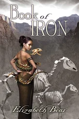 Elizabeth Bear - Book of Iron