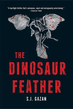 S. Gazan The Dinosaur Feather обложка книги