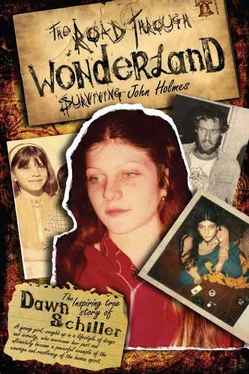 Dawn Schiller The Road Through Wonderland: Surviving John Holmes обложка книги