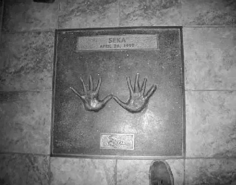 It aint Graumans Chinese Theatre but Im immortalized in front of the - фото 114