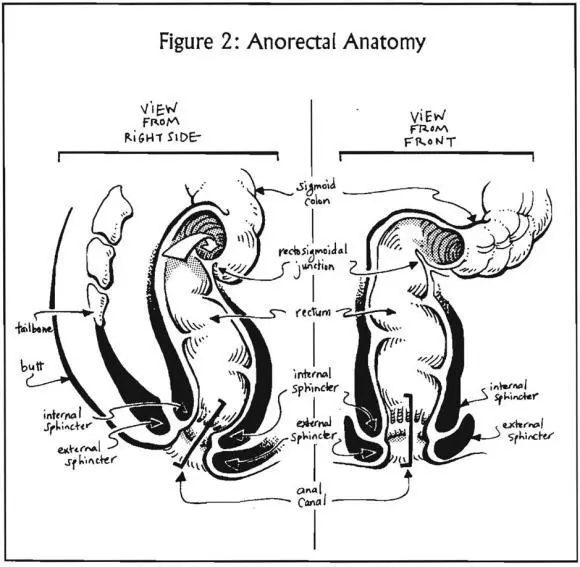 Exercising Your Pelvic and PC Muscles The following exercises can help you to - фото 3