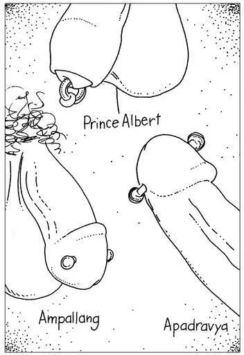 Illustration 7 Genital Piercings Using Your Mouth and Hands When she was - фото 14