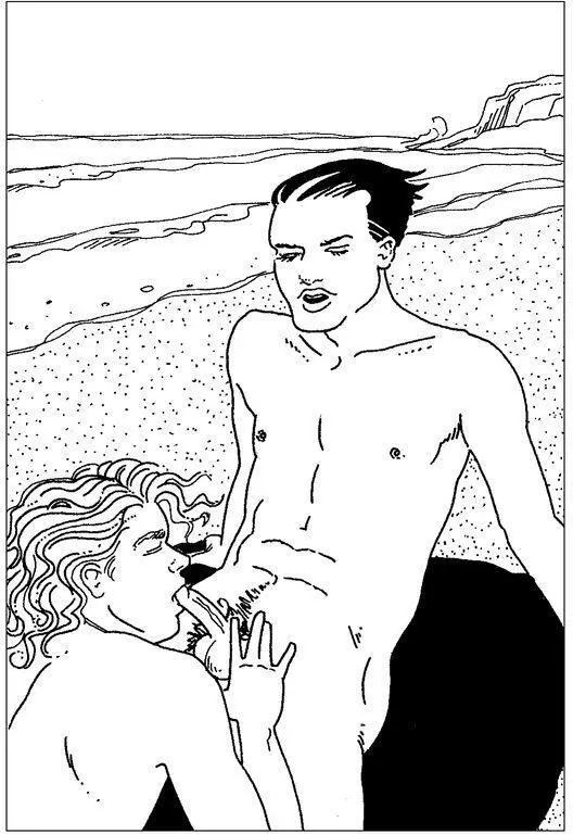 Illustration 14 Fellatio at the Beach Fellatio can happen virtually anywhere - фото 21