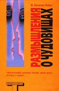 Фелипе Рейес Размышления о чудовищах обложка книги