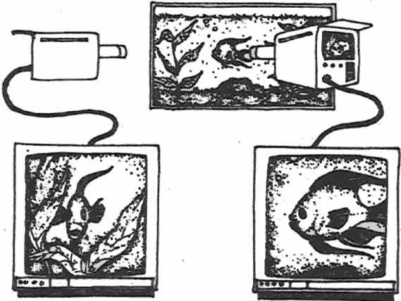Рис 8 Бом считает что элементарные частицы связаны также как изображения - фото 8