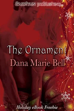 Dana Bell The Ornament: Adrian and Sheri обложка книги