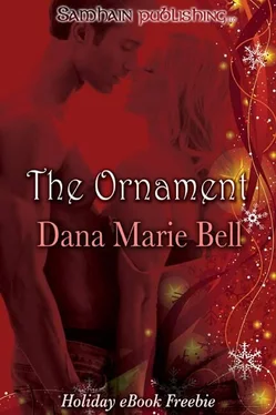 Dana Bell The Ornament: Max and Emma обложка книги