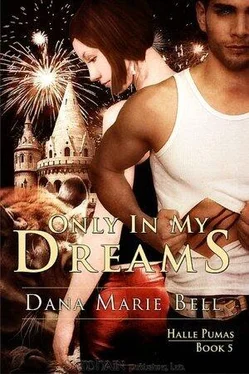 Dana Bell Only In My Dreams обложка книги