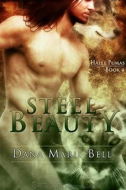 Dana Bell Steel Beauty обложка книги