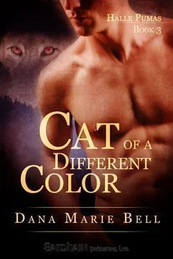 Dana Bell Cat of a Different Color обложка книги