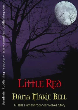 Dana Bell Little Red обложка книги