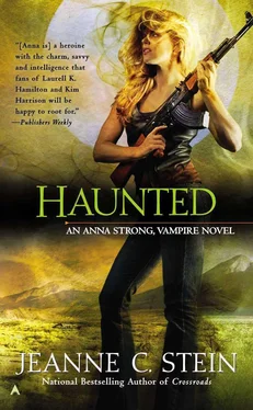 Jeanne Stein Haunted обложка книги