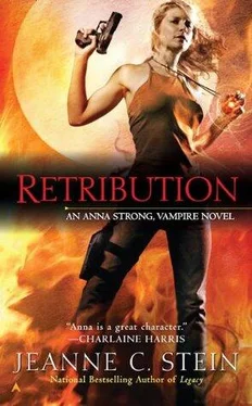 Jeanne Stein Retribution обложка книги