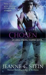 Jeanne Stein - Chosen