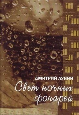 Дмитрий Лунин Свет ночных фонарей обложка книги