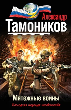 Александр Тамоников Мятежные воины обложка книги