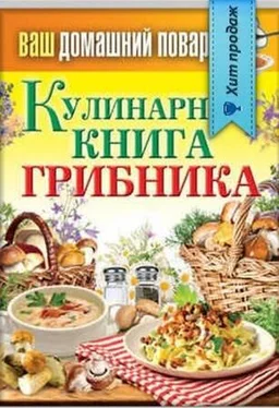 Сергей Кашин Кулинарная книга грибника обложка книги