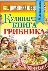 Сергей Кашин - Кулинарная книга грибника