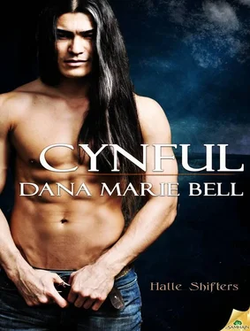 Dana Bell Cynful обложка книги