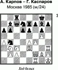 В ближайшее время президент Международной шахматной федерации и республики - фото 6