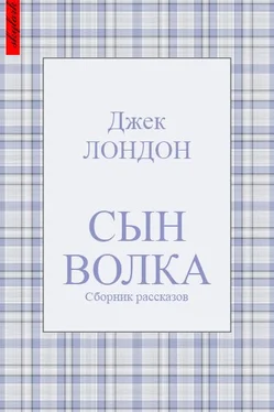 Джек Лондон Сын Волка (сборник рассказов) обложка книги